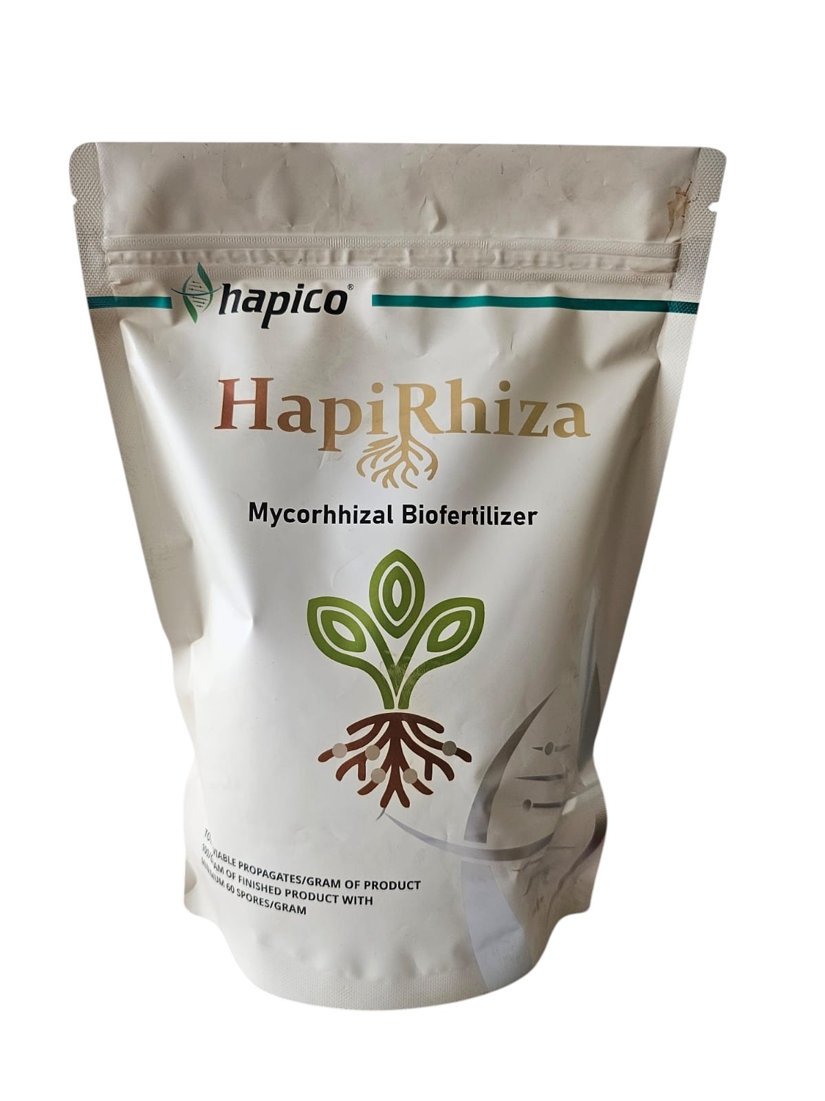 hapirhiza1